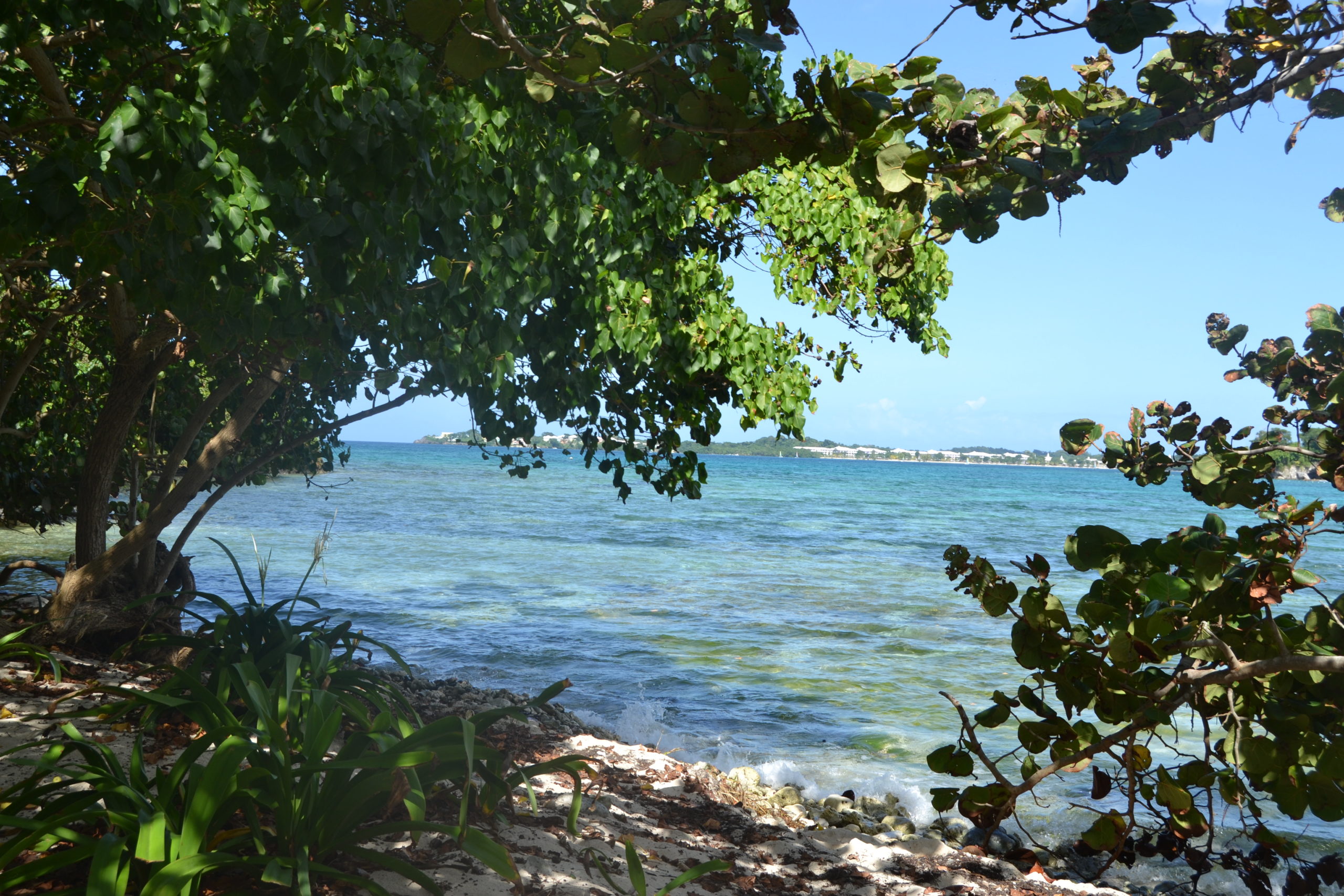 beach jamaica