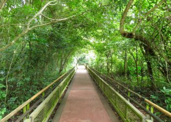 iguazu park