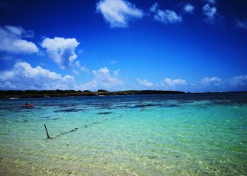 petit terre